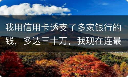 我用信用卡透支了多家银行的钱，多达三十万，我现在连最低还款都还不上，我该怎么办