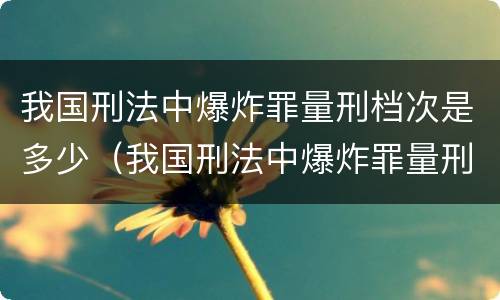 我国刑法中爆炸罪量刑档次是多少（我国刑法中爆炸罪量刑档次是多少呢）