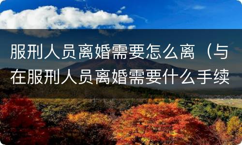 服刑人员离婚需要怎么离（与在服刑人员离婚需要什么手续）