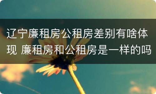 辽宁廉租房公租房差别有啥体现 廉租房和公租房是一样的吗