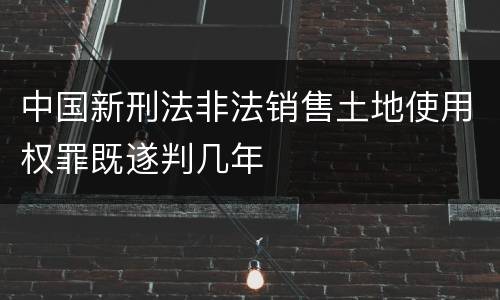 中国新刑法非法销售土地使用权罪既遂判几年