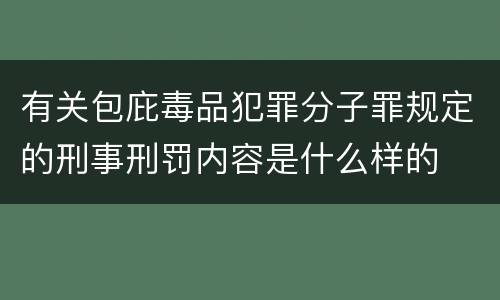 有关包庇毒品犯罪分子罪规定的刑事刑罚内容是什么样的