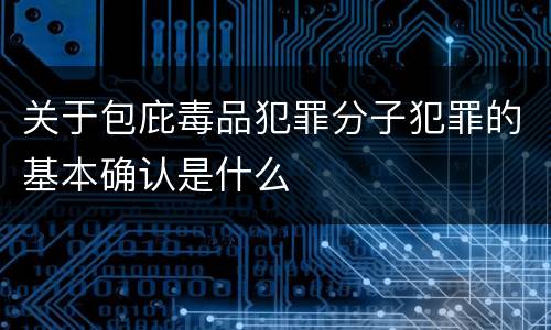 关于包庇毒品犯罪分子犯罪的基本确认是什么