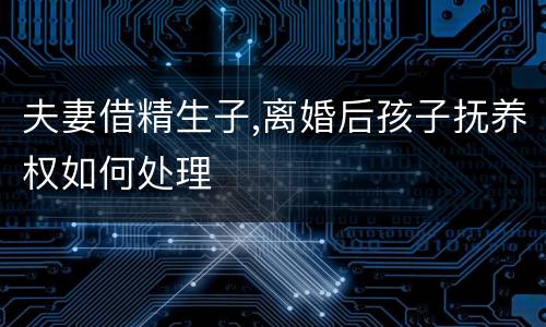 夫妻借精生子,离婚后孩子抚养权如何处理