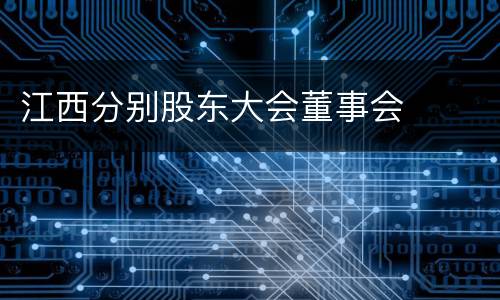江西分别股东大会董事会