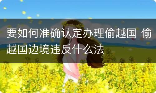 要如何准确认定办理偷越国 偷越国边境违反什么法