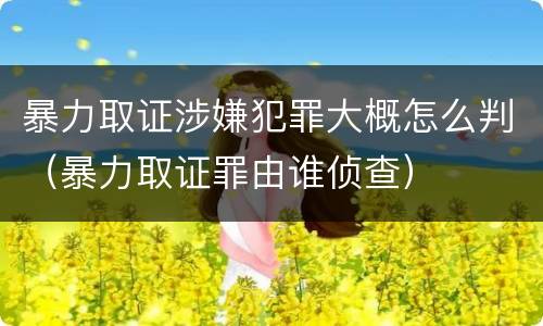 暴力取证涉嫌犯罪大概怎么判（暴力取证罪由谁侦查）