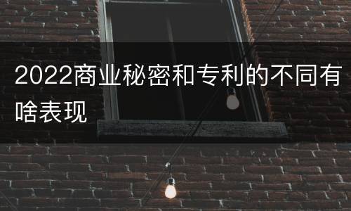 2022商业秘密和专利的不同有啥表现