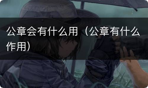 公章会有什么用（公章有什么作用）