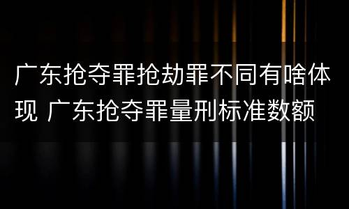 广东抢夺罪抢劫罪不同有啥体现 广东抢夺罪量刑标准数额