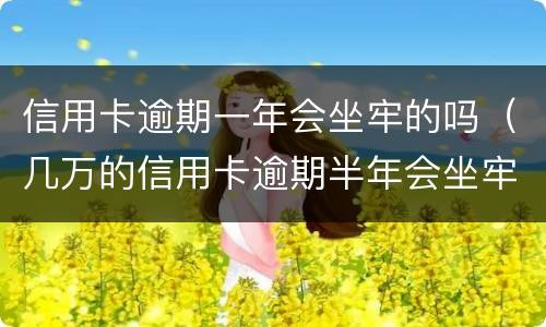 信用卡逾期一年会坐牢的吗（几万的信用卡逾期半年会坐牢吗?）