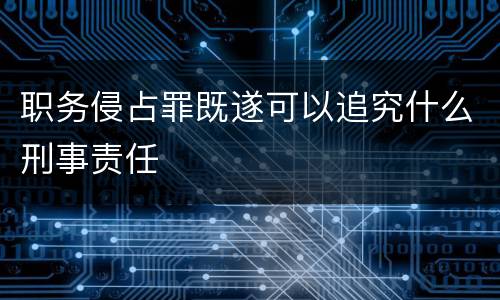 职务侵占罪既遂可以追究什么刑事责任