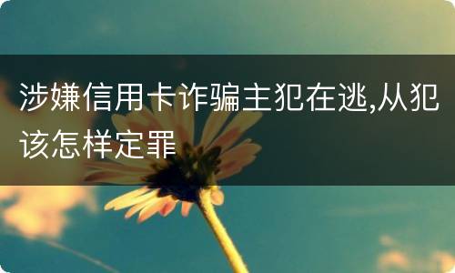 涉嫌信用卡诈骗主犯在逃,从犯该怎样定罪