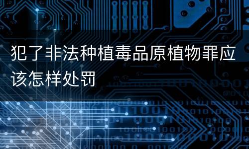 犯了非法种植毒品原植物罪应该怎样处罚