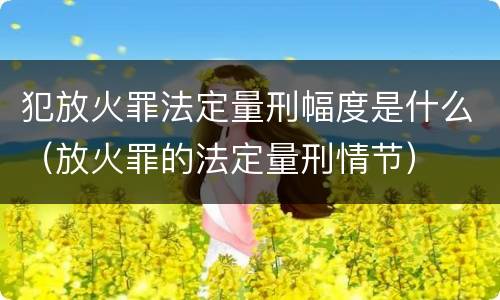 犯放火罪法定量刑幅度是什么（放火罪的法定量刑情节）