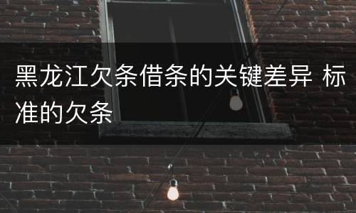 黑龙江欠条借条的关键差异 标准的欠条