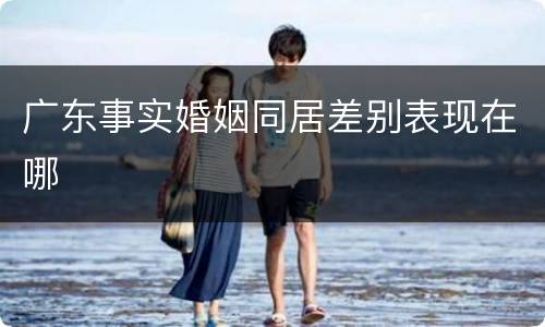 广东事实婚姻同居差别表现在哪