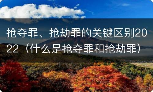 抢夺罪、抢劫罪的关键区别2022（什么是抢夺罪和抢劫罪）