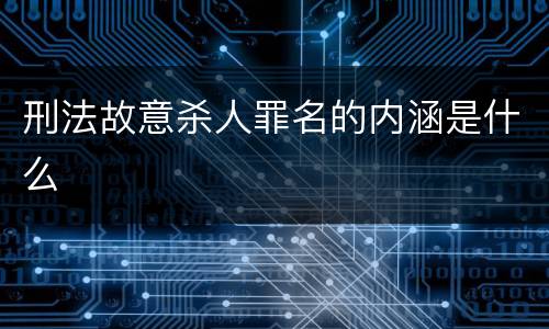 刑法故意杀人罪名的内涵是什么