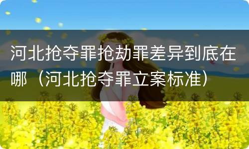河北抢夺罪抢劫罪差异到底在哪（河北抢夺罪立案标准）