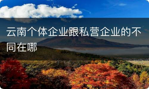 云南个体企业跟私营企业的不同在哪