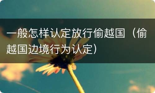 一般怎样认定放行偷越国（偷越国边境行为认定）