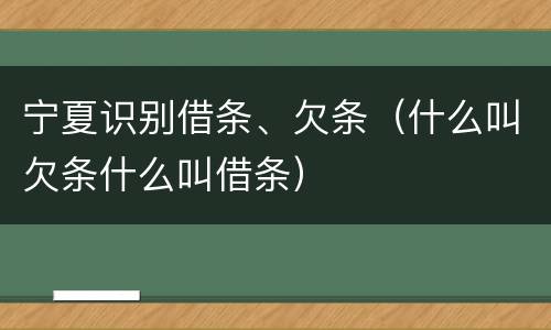 宁夏识别借条、欠条（什么叫欠条什么叫借条）