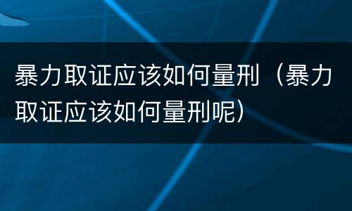 暴力取证应该如何量刑（暴力取证应该如何量刑呢）