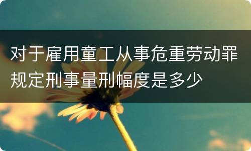 对于雇用童工从事危重劳动罪规定刑事量刑幅度是多少