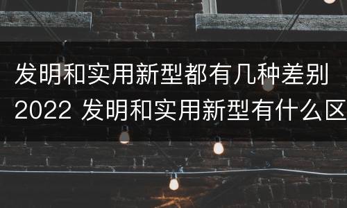 发明和实用新型都有几种差别2022 发明和实用新型有什么区别