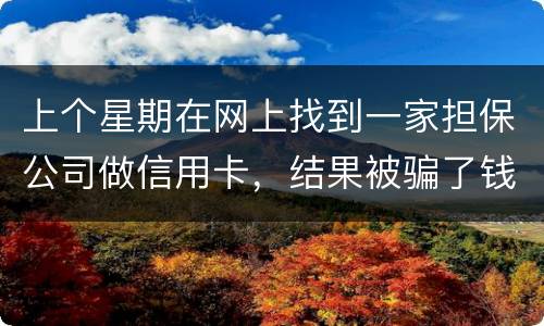 上个星期在网上找到一家担保公司做信用卡，结果被骗了钱，请问能不能把钱要回