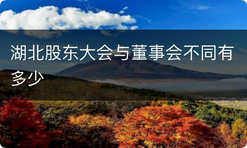 湖北股东大会与董事会不同有多少