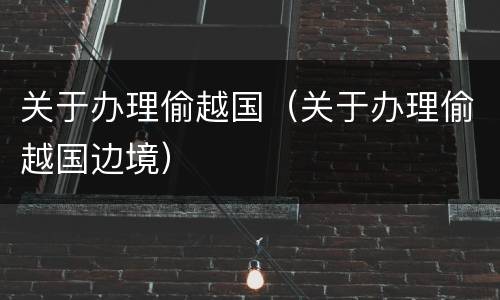 关于办理偷越国（关于办理偷越国边境）