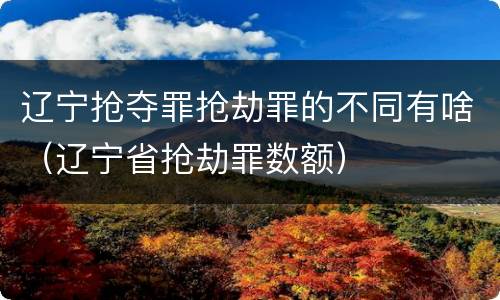 辽宁抢夺罪抢劫罪的不同有啥（辽宁省抢劫罪数额）