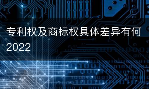 专利权及商标权具体差异有何2022