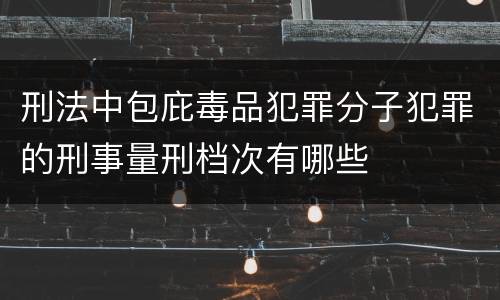 刑法中包庇毒品犯罪分子犯罪的刑事量刑档次有哪些