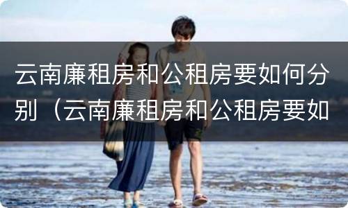 云南廉租房和公租房要如何分别（云南廉租房和公租房要如何分别入住）