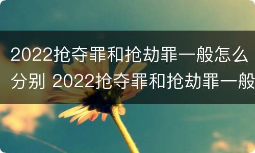 2022抢夺罪和抢劫罪一般怎么分别 2022抢夺罪和抢劫罪一般怎么分别认定