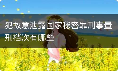 犯故意泄露国家秘密罪刑事量刑档次有哪些