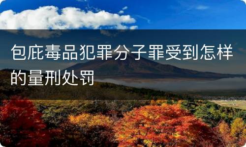 包庇毒品犯罪分子罪受到怎样的量刑处罚