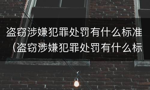 盗窃涉嫌犯罪处罚有什么标准（盗窃涉嫌犯罪处罚有什么标准嘛）