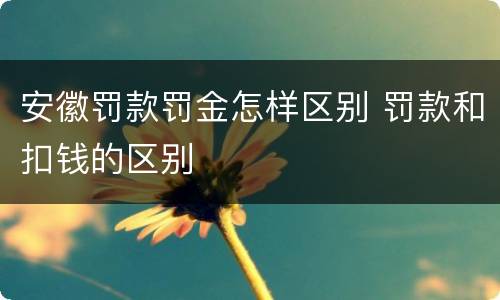 安徽罚款罚金怎样区别 罚款和扣钱的区别