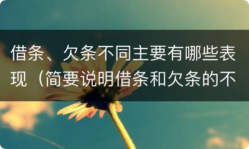 借条、欠条不同主要有哪些表现（简要说明借条和欠条的不同之处）