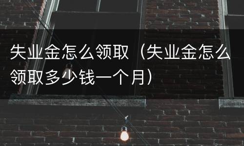 失业金怎么领取（失业金怎么领取多少钱一个月）