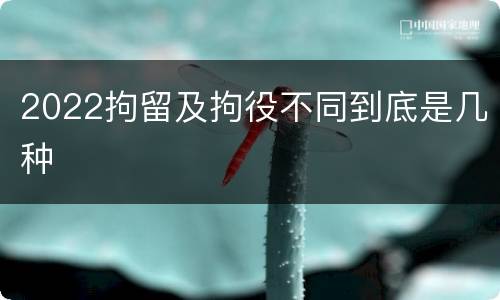 2022拘留及拘役不同到底是几种