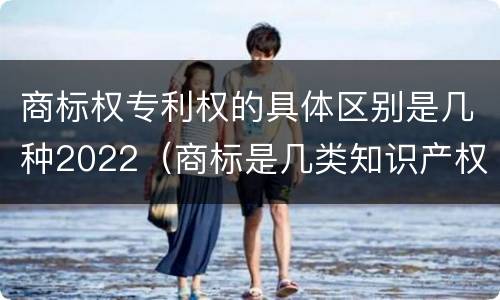 商标权专利权的具体区别是几种2022（商标是几类知识产权）