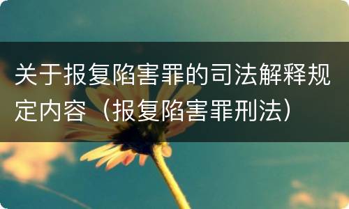 关于报复陷害罪的司法解释规定内容（报复陷害罪刑法）