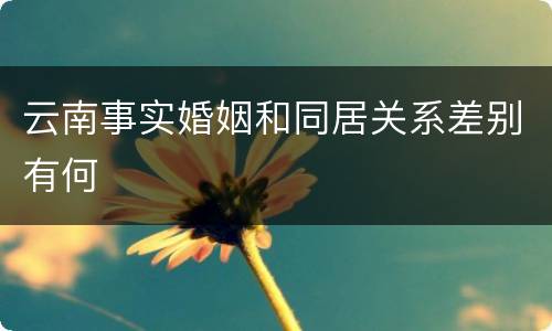云南事实婚姻和同居关系差别有何