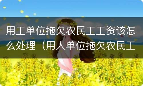 用工单位拖欠农民工工资该怎么处理（用人单位拖欠农民工工资怎么办）