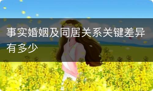 事实婚姻及同居关系关键差异有多少